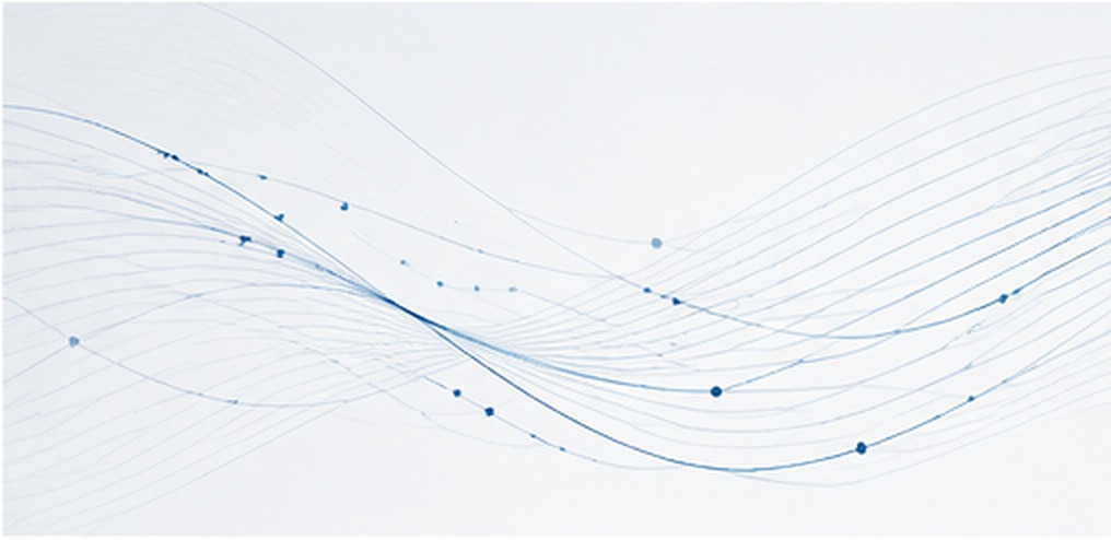 Abstract section divider graphic
